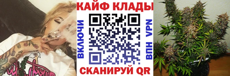 Где купить наркоту Киров КОКАИН  Alpha-PVP  Амфетамин  МЕФ  OMG tor  Марихуана  Псилоцибиновые грибы 