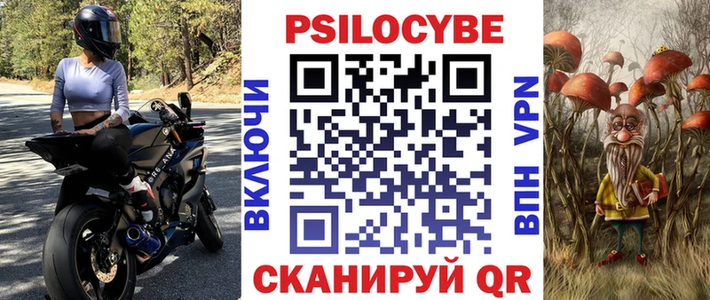 где купить наркоту  Киров  Псилоцибиновые грибы Cubensis 